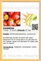 Mobile Preview: Tomate 'Canestrino' , für Salate und Saucen, 20 Samen